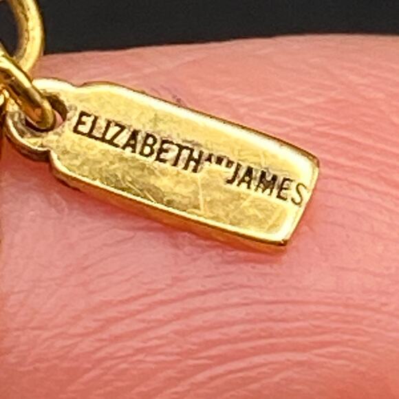 Elizabeth & James Ollie Vago Fringe Necklace 24k Gold Plated MSRP $348 NWOT - Picture 9 of 10